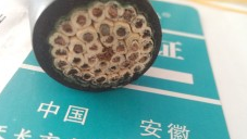 船用電力電纜型號(hào)